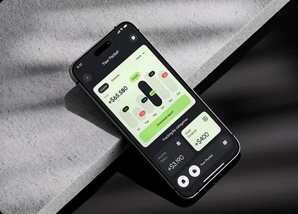 Portfolio project preview 1